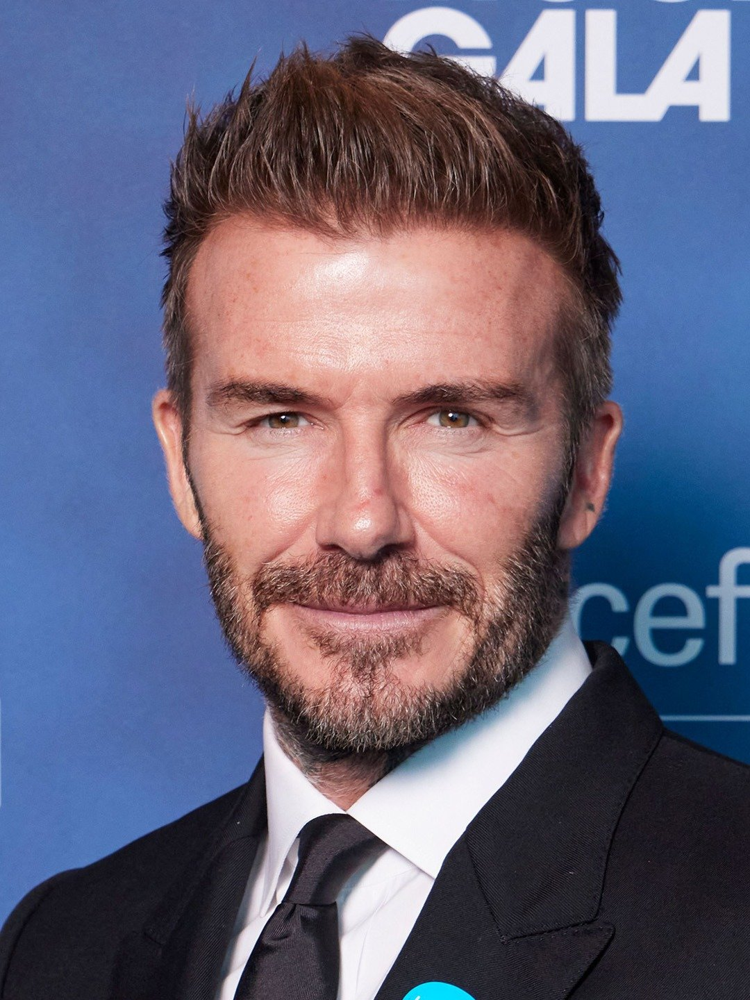 David Robert