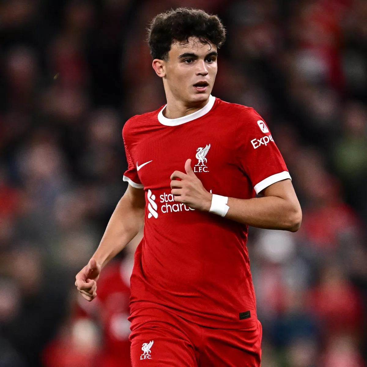 STEFAN BAJCETIC SKUAD LIVERPOOL